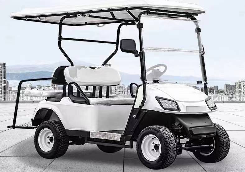 Lead-acid Maintenance-free Battery