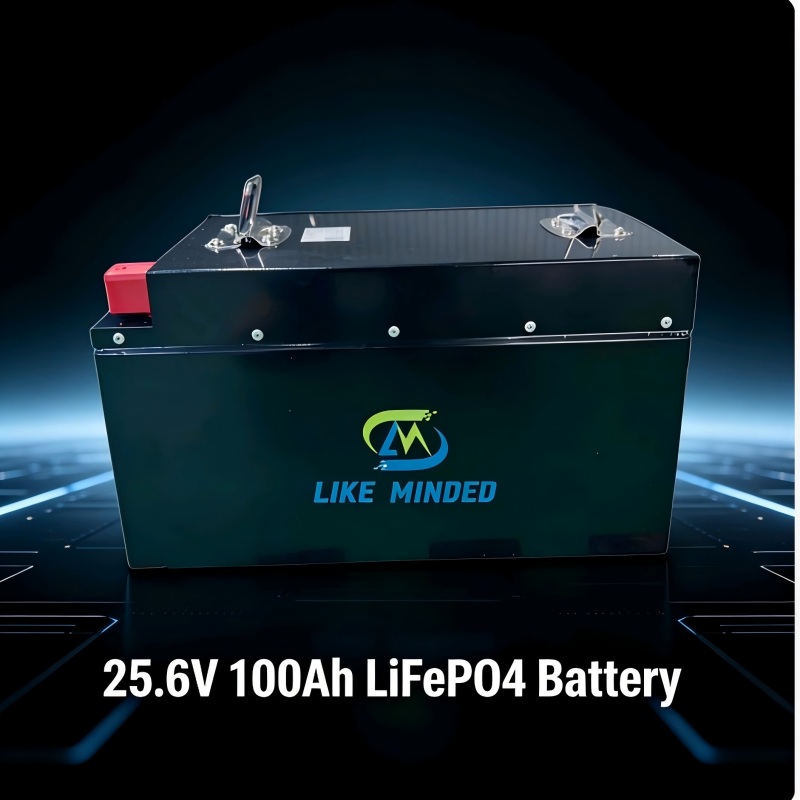 24V 100Ah Deep Cycle Battery with BMS